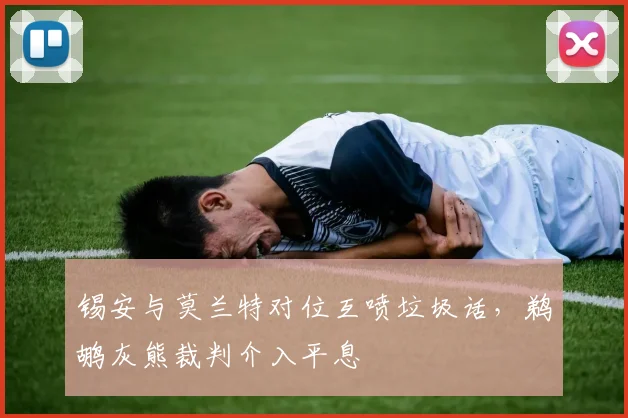 锡安与莫兰特对位互喷垃圾话，鹈鹕灰熊裁判介入平息